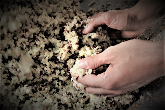 CAOS FERMENTATIVO: L’ORIGINE DELLA COMPLESSITÀ (PARTE I)