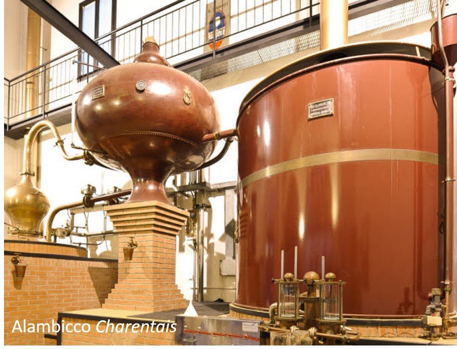 ALAMBICCHI: ANCHE LE FORME CONTANO (PARTE I) - Berolá distillati P.IVA 07167331219