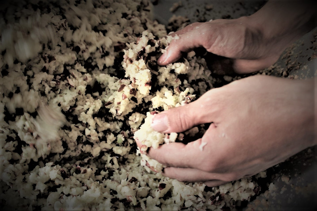 CAOS FERMENTATIVO: L’ORIGINE DELLA COMPLESSITÀ (PARTE I)
