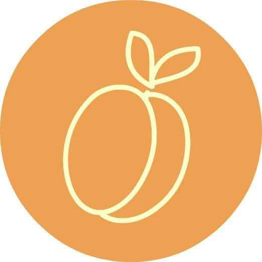 LE NOSTRE ACQUAVITI DI FRUTTA