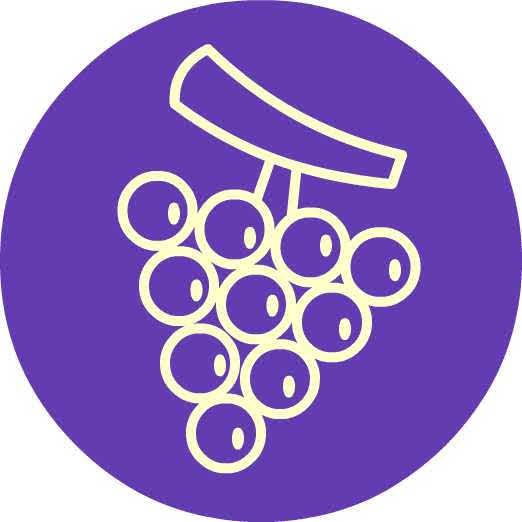 LE NOSTRE GRAPPE