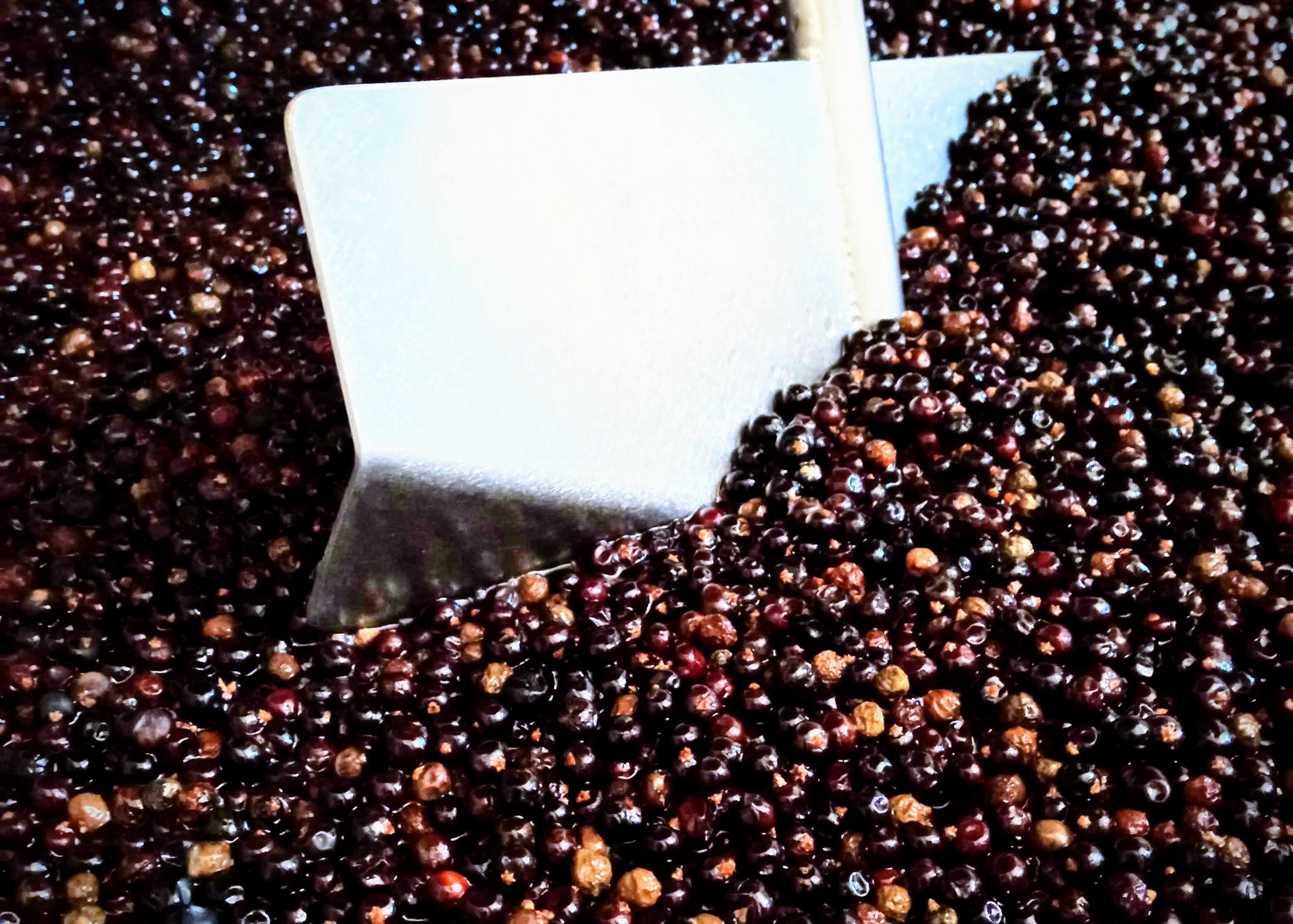 IL GIN - Berolá distillati P.IVA 07167331219