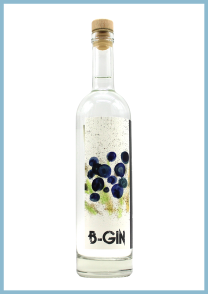 bottiglia di B•GIN un gin artigianale  100% ginepro 