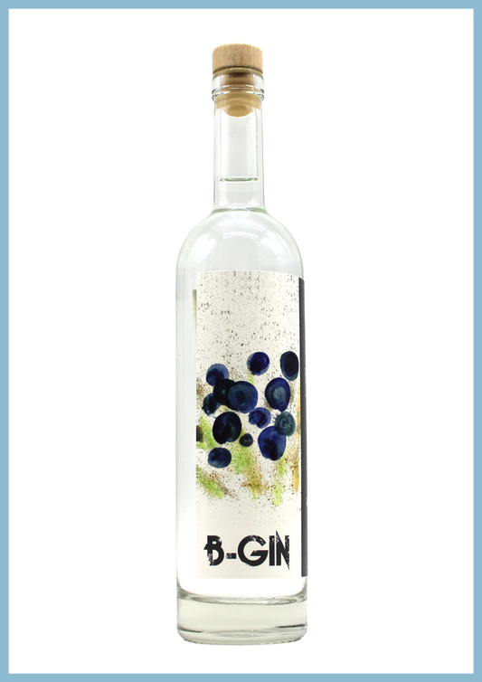 bottiglia di B•GIN un gin artigianale  100% ginepro 