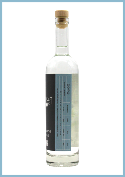 bottiglia di B•GIN un gin artigianale  100% ginepro 