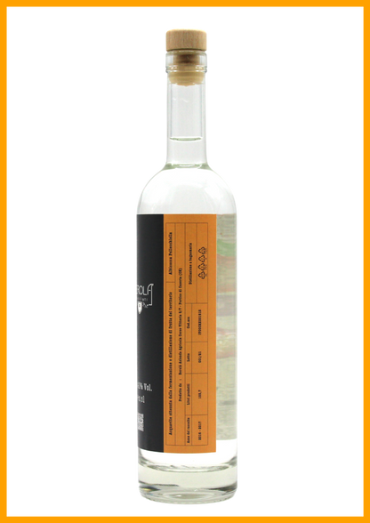 bottiglia di B•VITAE Albicocca Pellecchiella acquavite di frutta artigianale 100% italiana