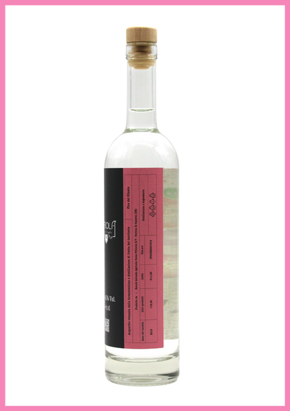 bottiglia di B•VITAE Fico del Cilento acquavite di frutta artigianale 100% italiana 
